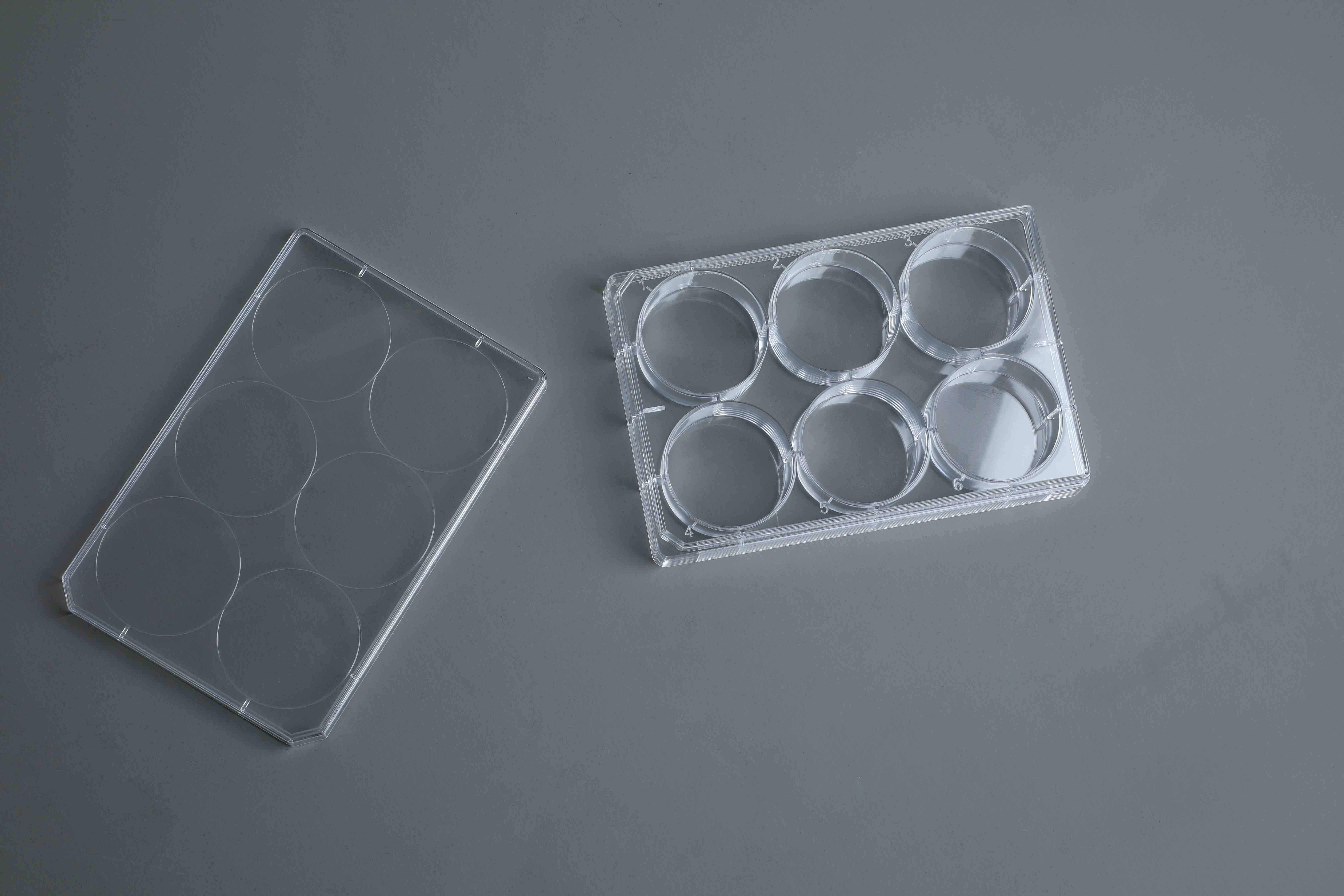 TC-Treated Cell Culture Plate customer view 18