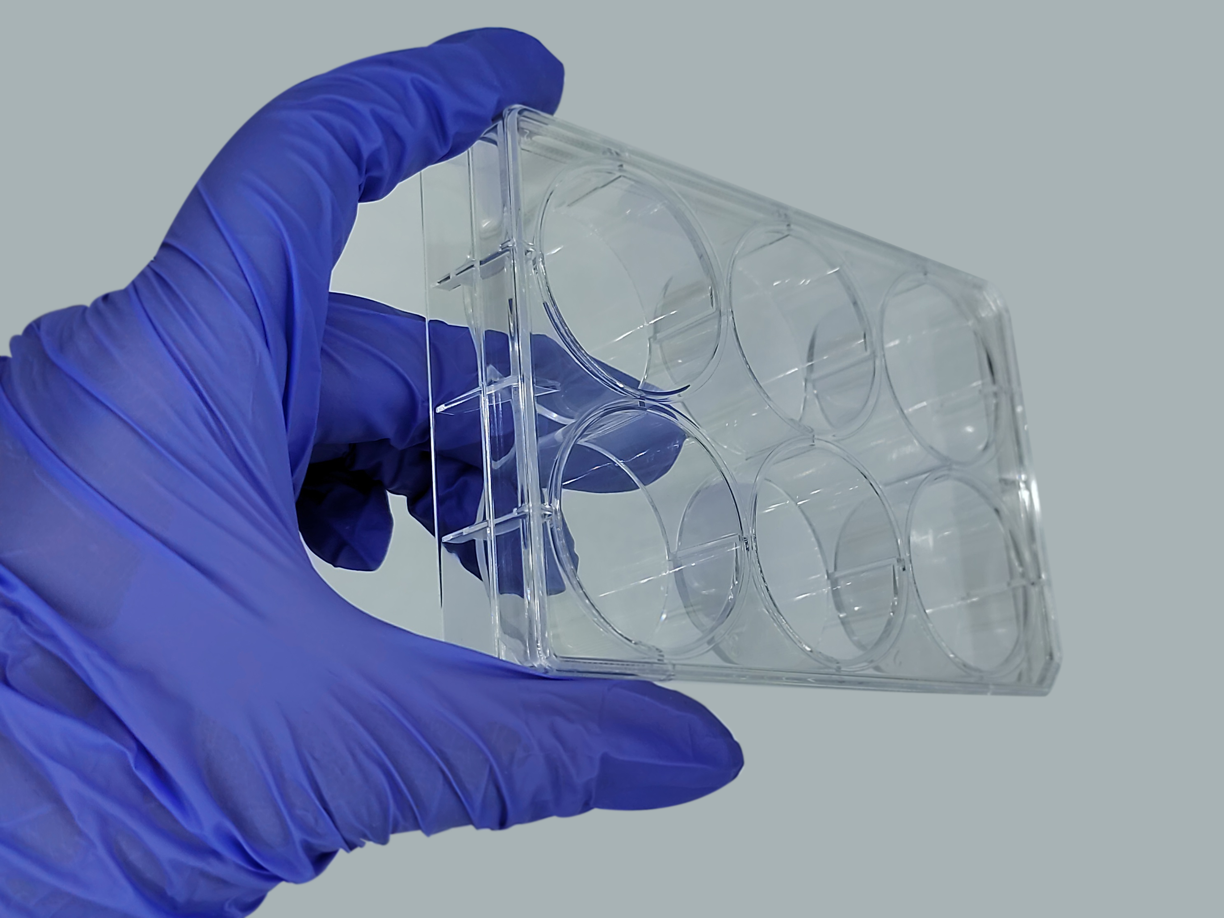 TC-Treated Cell Culture Plate customer view 25