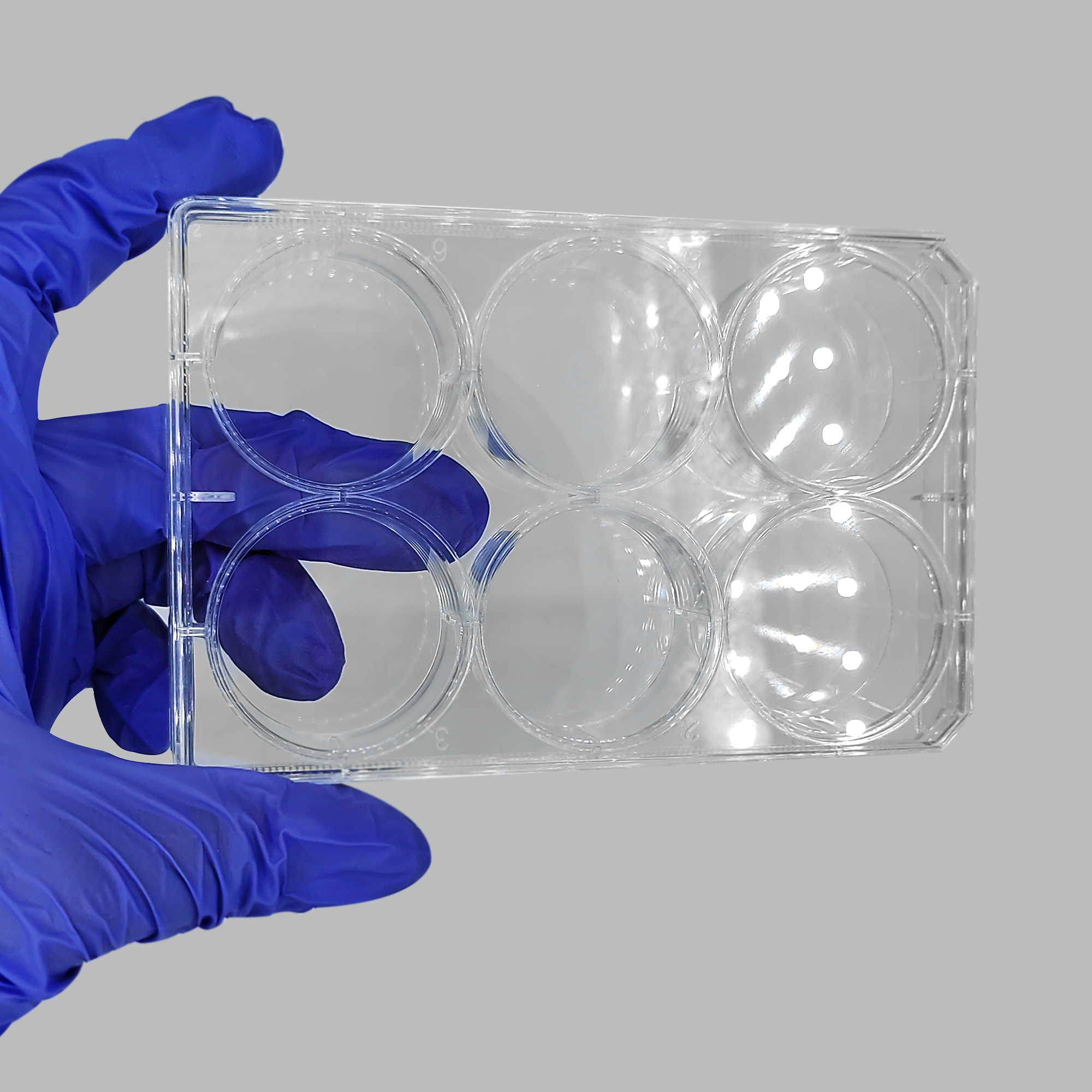 TC-Treated Cell Culture Plate customer view 8