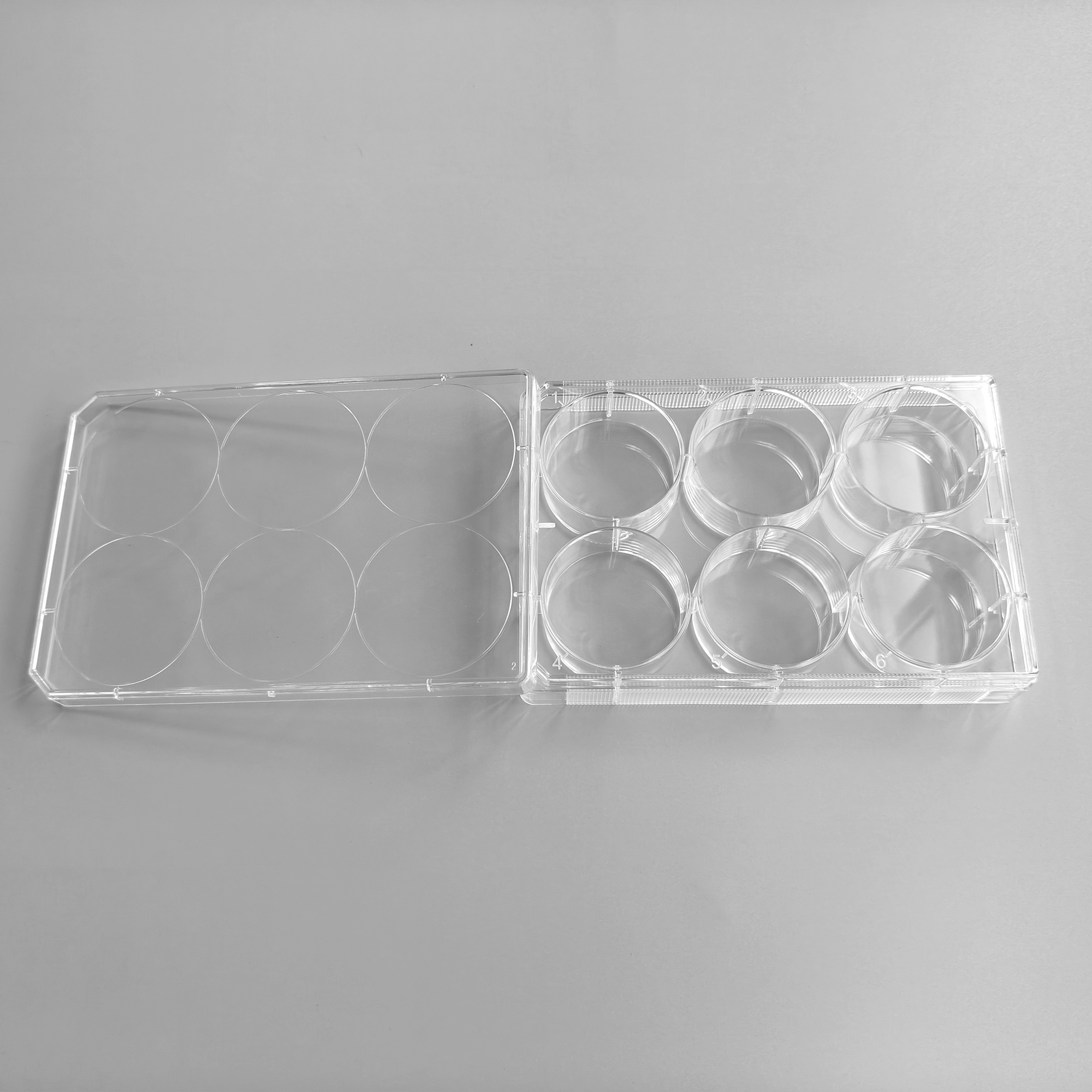 TC-Treated Cell Culture Plate customer view 3