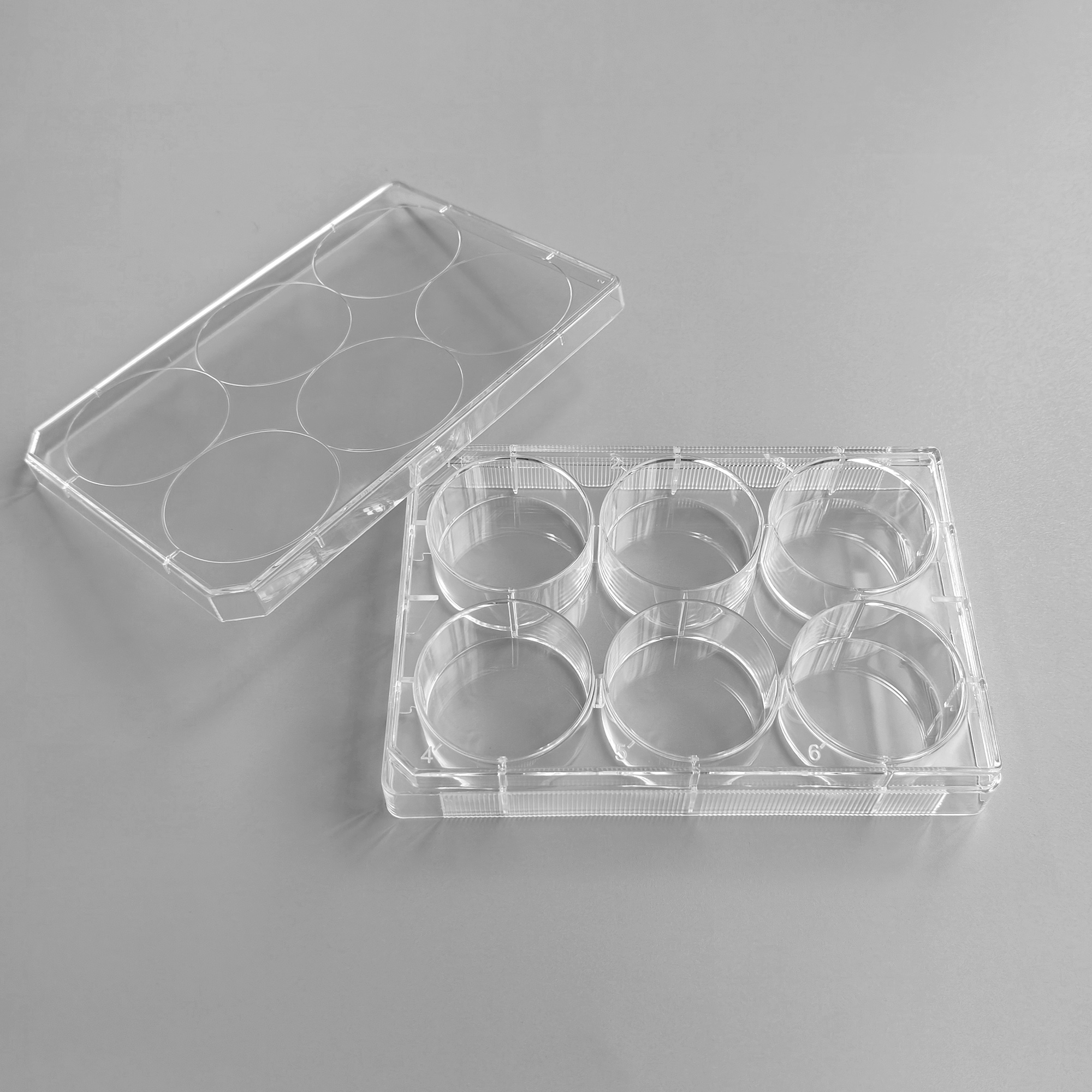 TC-Treated Cell Culture Plate customer view 5