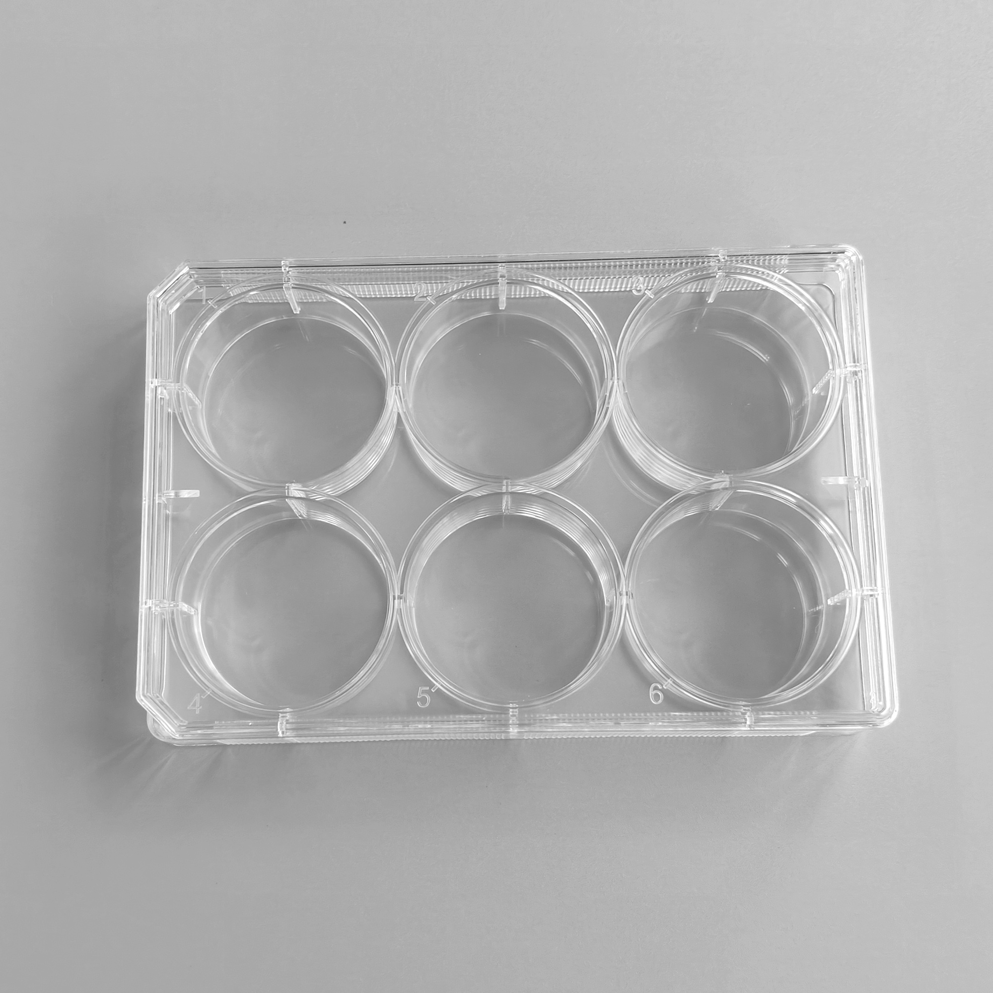 TC-Treated Cell Culture Plate customer view 6