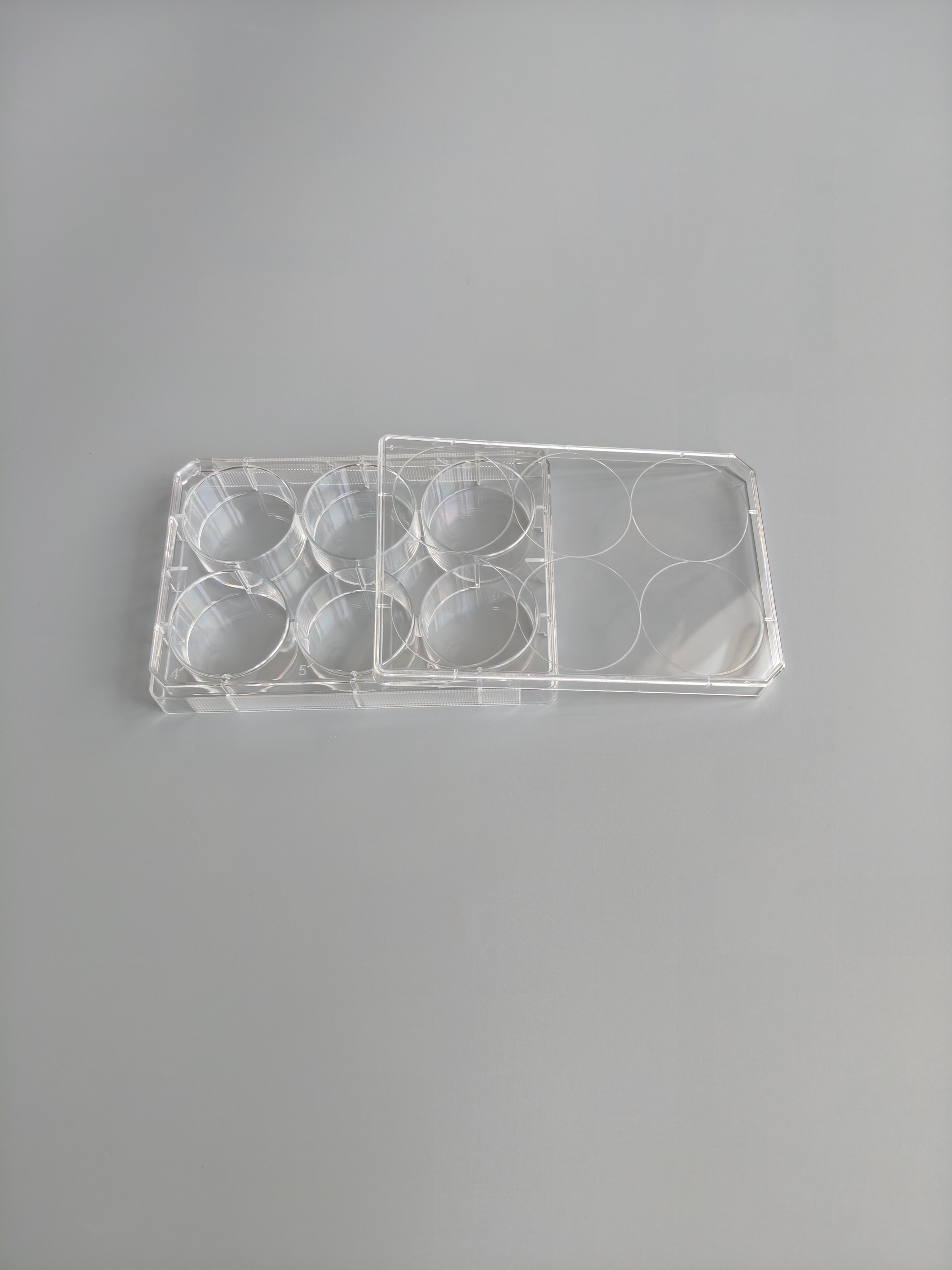 TC-Treated Cell Culture Plate customer view 15