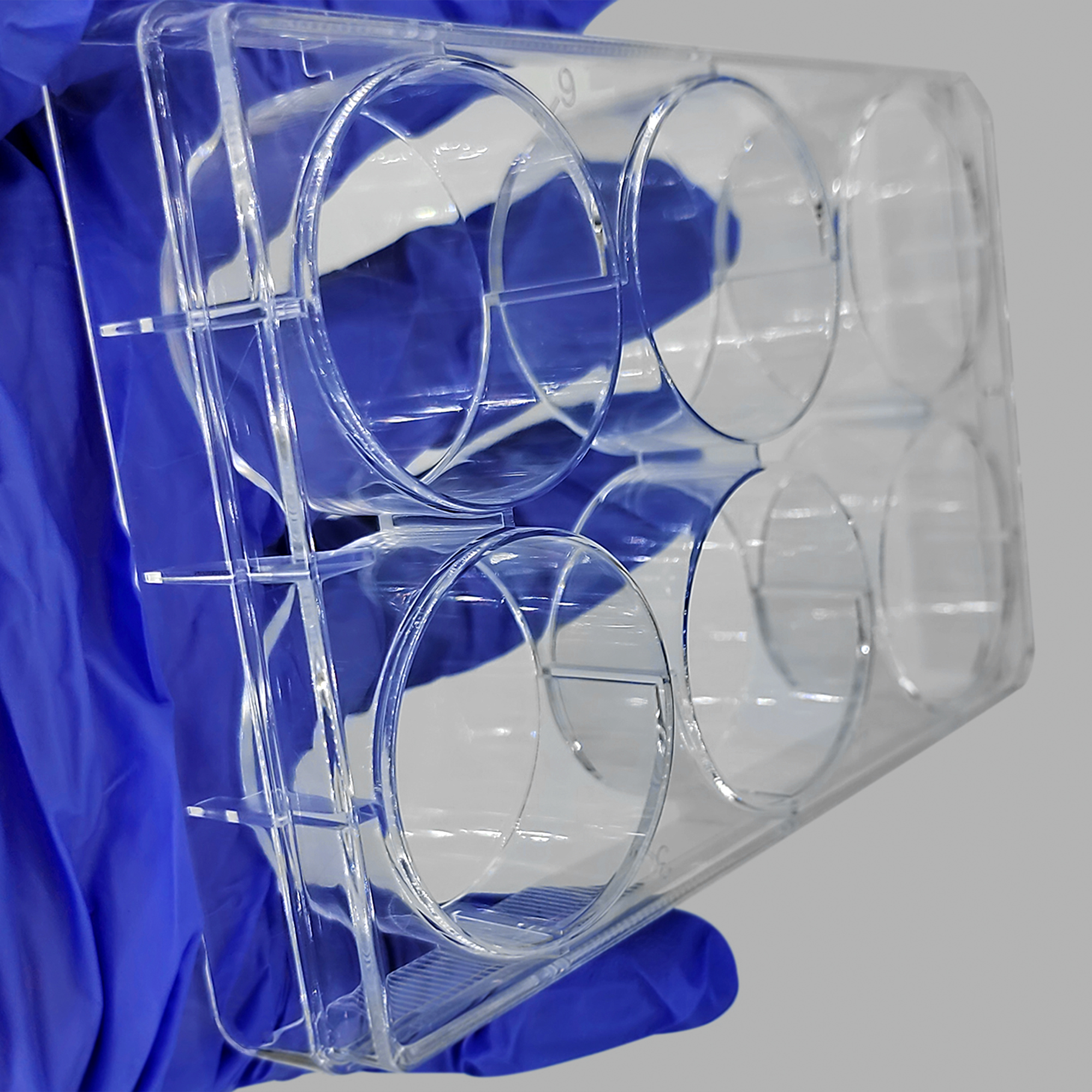 TC-Treated Cell Culture Plate customer view 4