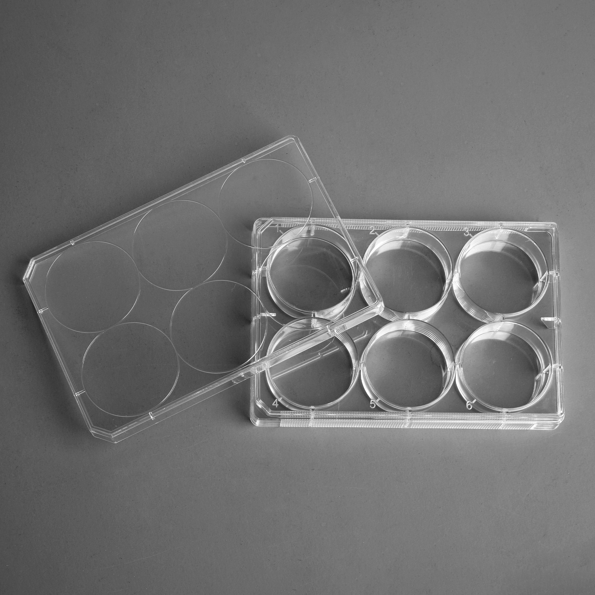 TC-Treated Cell Culture Plate customer view 13