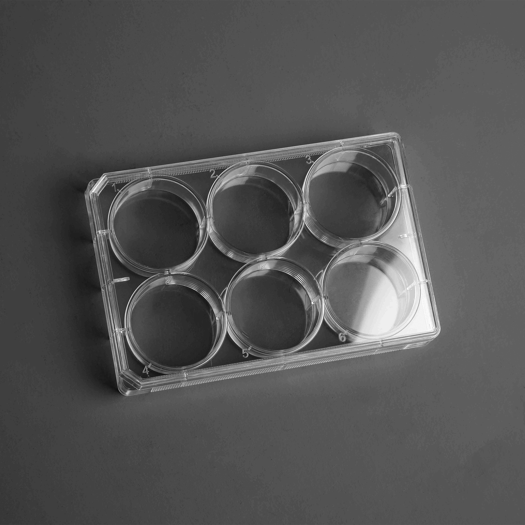 TC-Treated Cell Culture Plate customer view 9