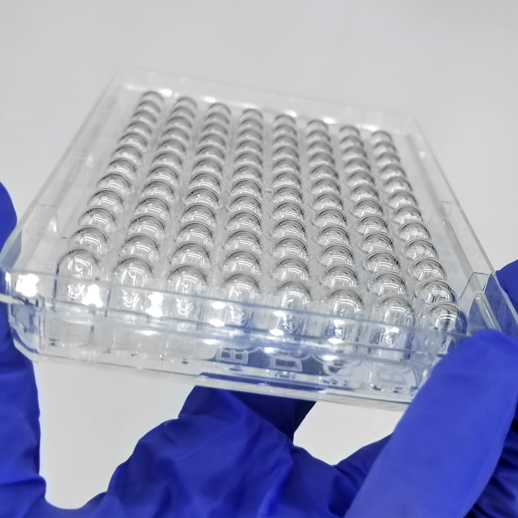 Ultra-Low Attachment Cell Culture Plate customer view 2