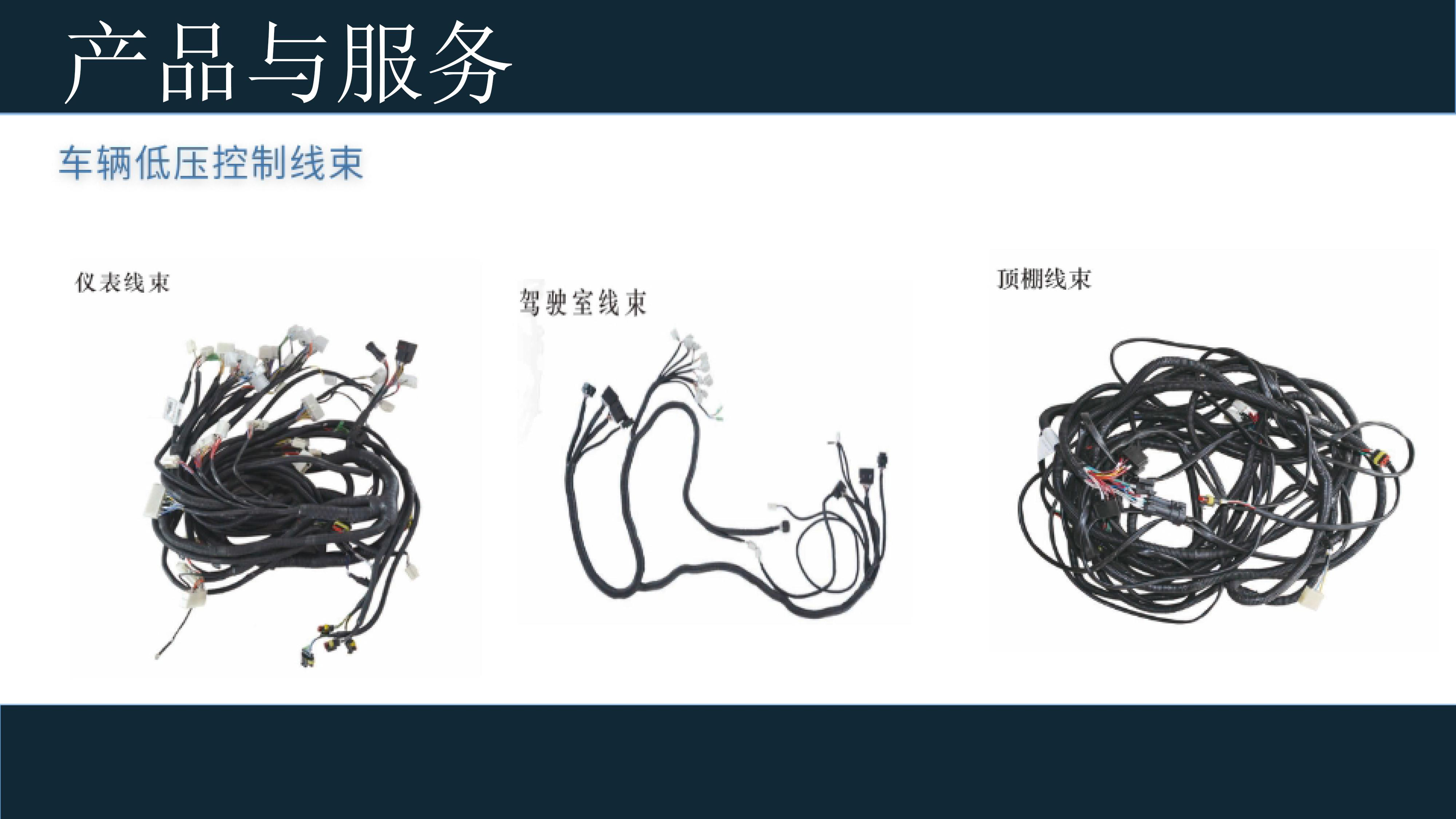 Low-Voltage Vehicle Control Wiring Harness variant 2