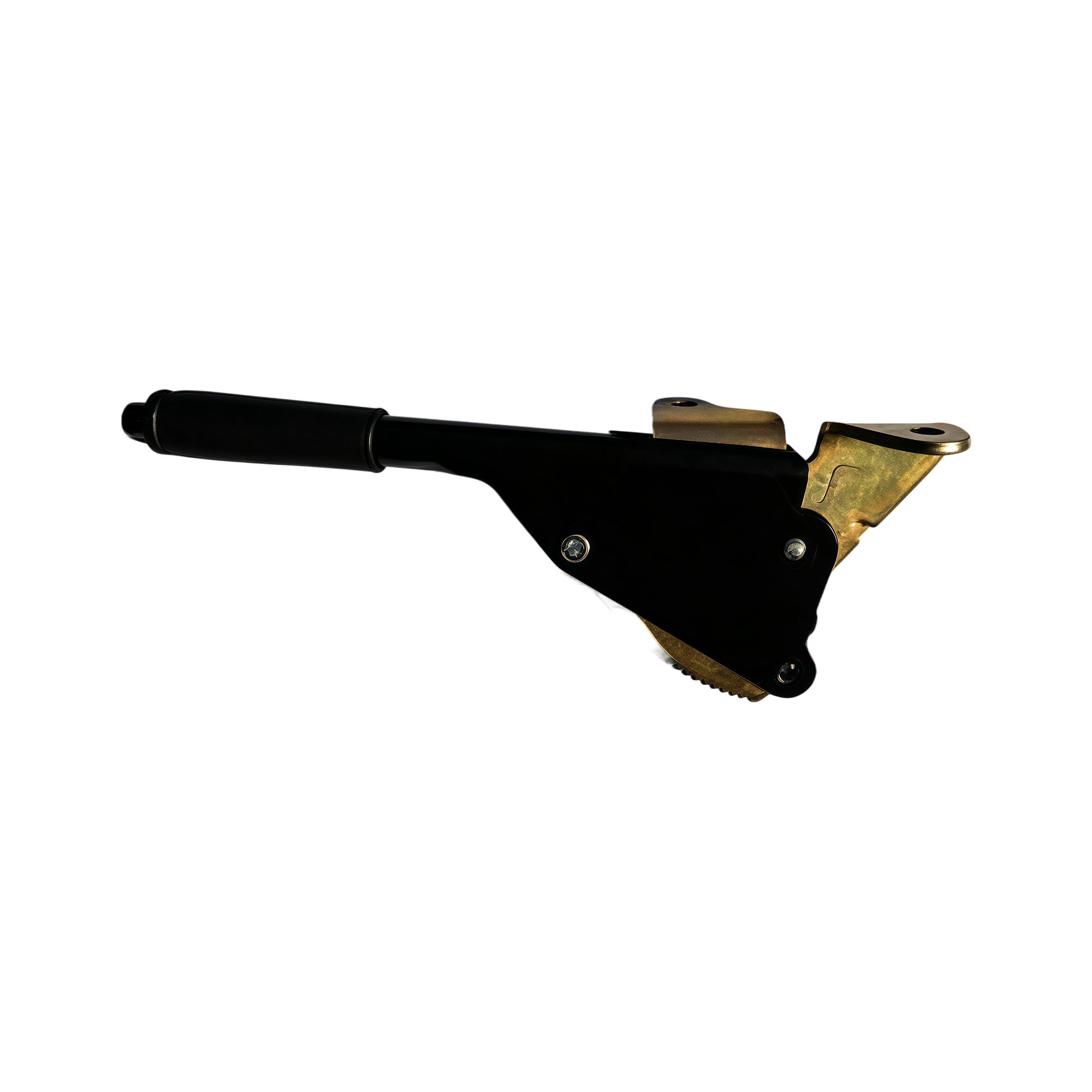 Parking Brake Assembly variant 6