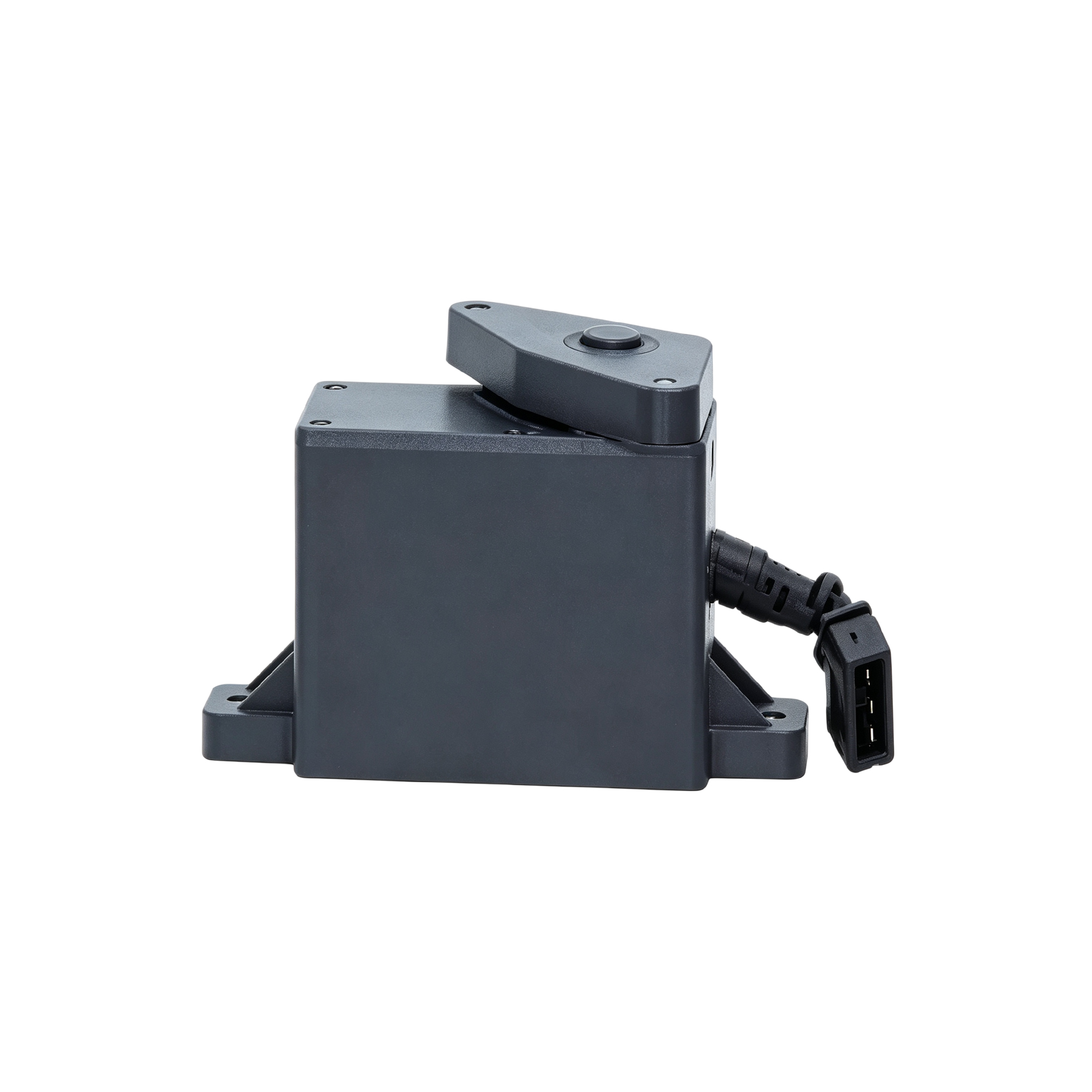 Remote Throttle Control variant 4