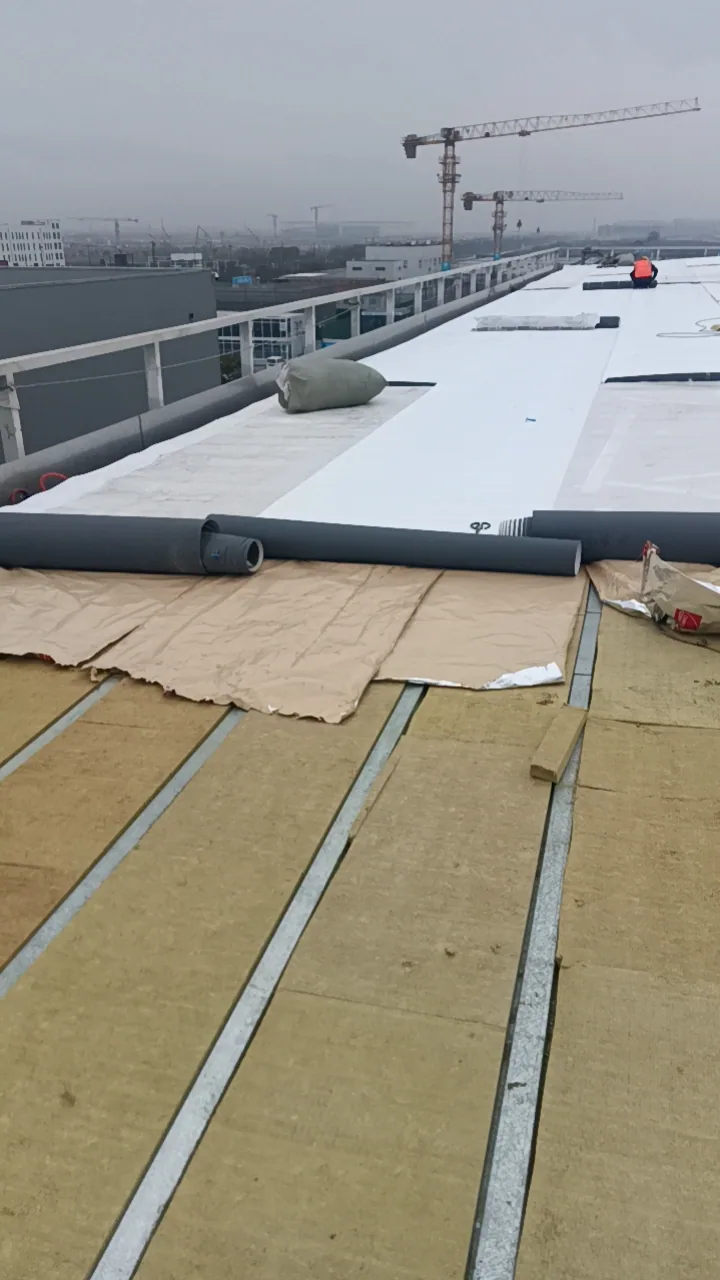 Roofing and enclosure photograph 2