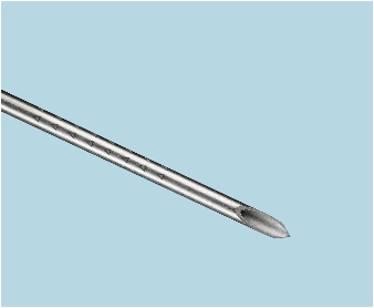 Triangular Echogenic Surface