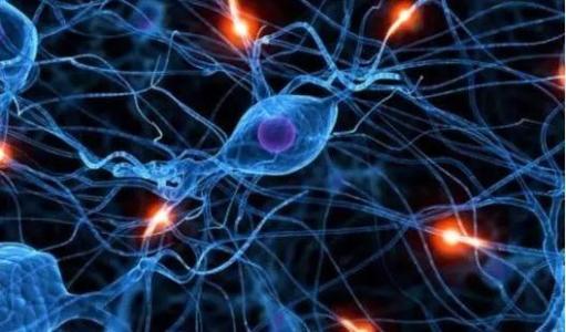 Illustration of nerve cells
